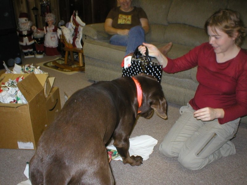 Katie's Christmas present 1.jpg